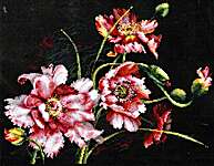 Click for more details of The Mystery of Poppies (cross stitch) by Magic Needle