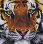 Click for more details of Tiger (cross stitch) by Lanarte