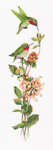 Click/tap for more details of Toccata in Green (cross stitch) by Valerie Pfeiffer