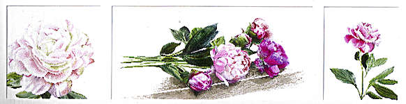 Click for more details of Triptych of Peonies (cross stitch) by Thea Gouverneur