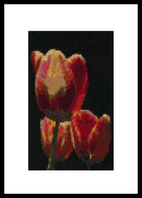 Click/tap for more details of Tulip Trio  (cross stitch) by Mary Gaines