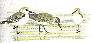 Click for more details of Waders (cross stitch) by Rose Swalwell