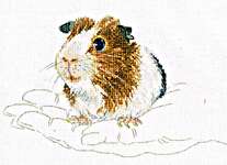 Click for more details of Warmth in Palms - Guinea Pig (cross stitch) by RTO