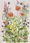Click for more details of Wayside Flowers with Poppies (cross stitch) by Permin of Copenhagen