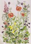 Click/tap for more details of Wayside Flowers with Poppies (cross stitch) by Permin of Copenhagen