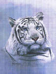 White Tiger - Blue Sapphire