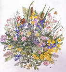 Click for more details of Wildflower Display (cross stitch) by Permin of Copenhagen