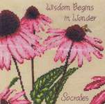 Click/tap for more details of Wisdom (cross stitch) by Cross-Point Designs