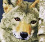 Click/tap for more details of Wolf (cross stitch) by Lanarte
