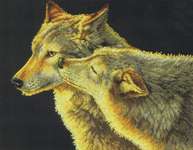 Wolf Kiss