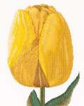 Click for more details of Yellow Darwin Hybrid Tulip (cross stitch) by Thea Gouverneur