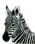 Click for more details of Zebra (cross stitch) by Vervaco