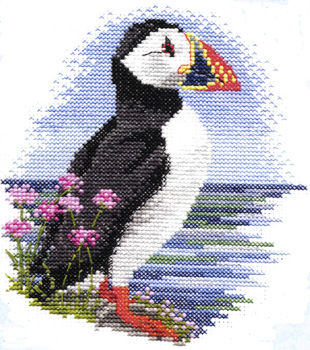 Puffin