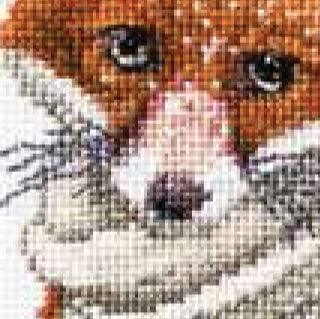 Hey There Foxy Lady (view 3)
