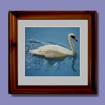 Swan on the River Thames at Abingdon