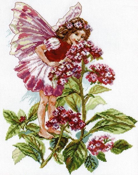 Heliotrope Fairy