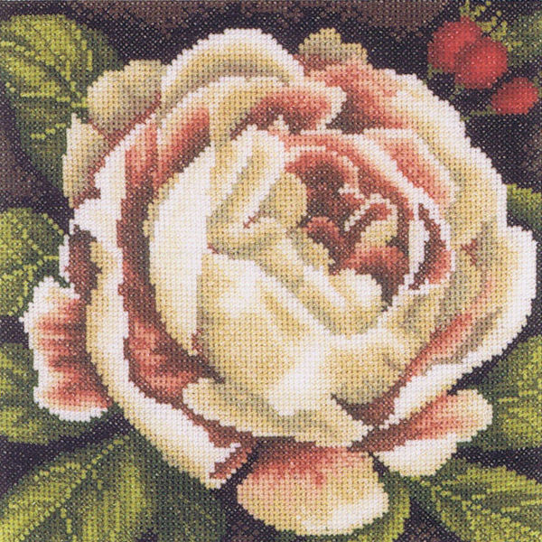 White Rose Bush