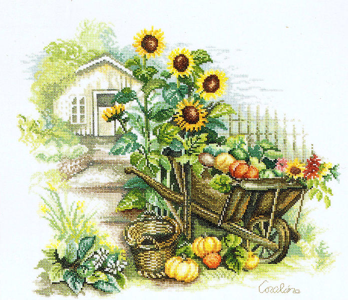 Sunflowers and Wheelbarrow