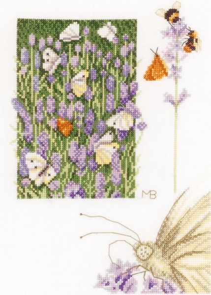 Lavender Field & Butterfly