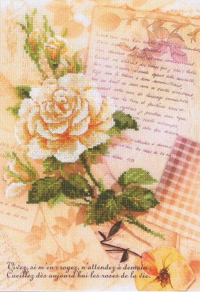 Love Letters and Rose