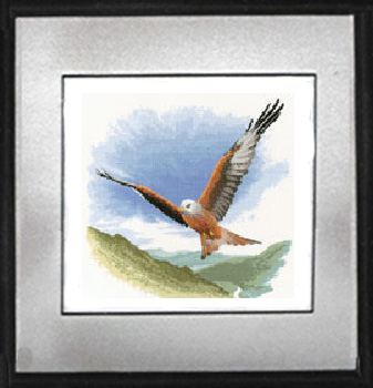 Red Kite in Flight