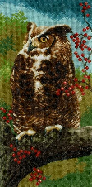 Owl in Autumn