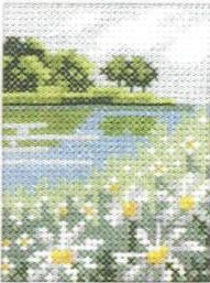 Daisies on a river bank