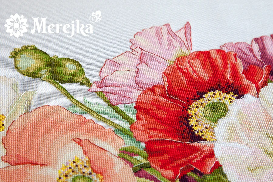 Poppies (view 4)