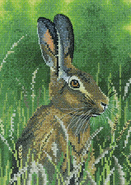 Hare