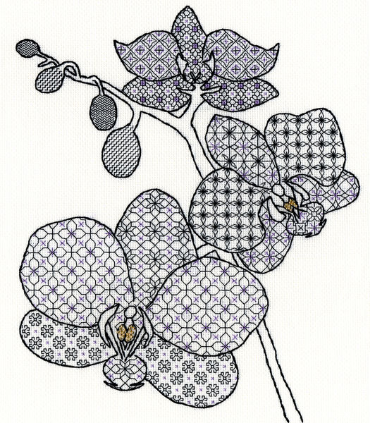 Blackwork Orchid