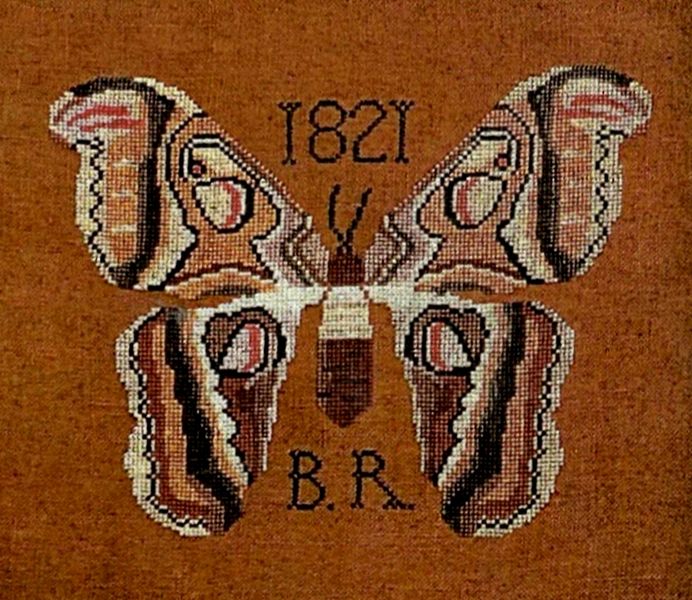 B.R.'s Moth