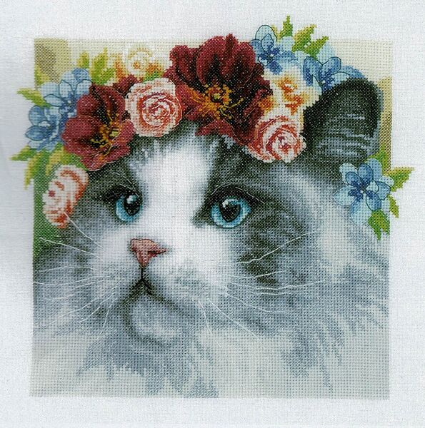 Flower Crown: Ragdoll