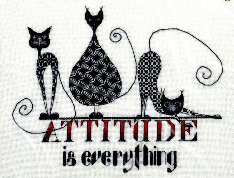 Attitude..