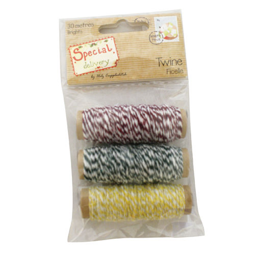 Special Delivery Twine - Brights