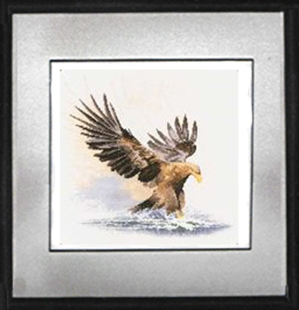 Eagle in Flight