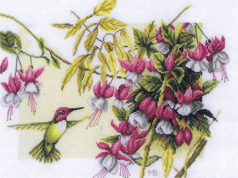 HummingBird with Fuchsia