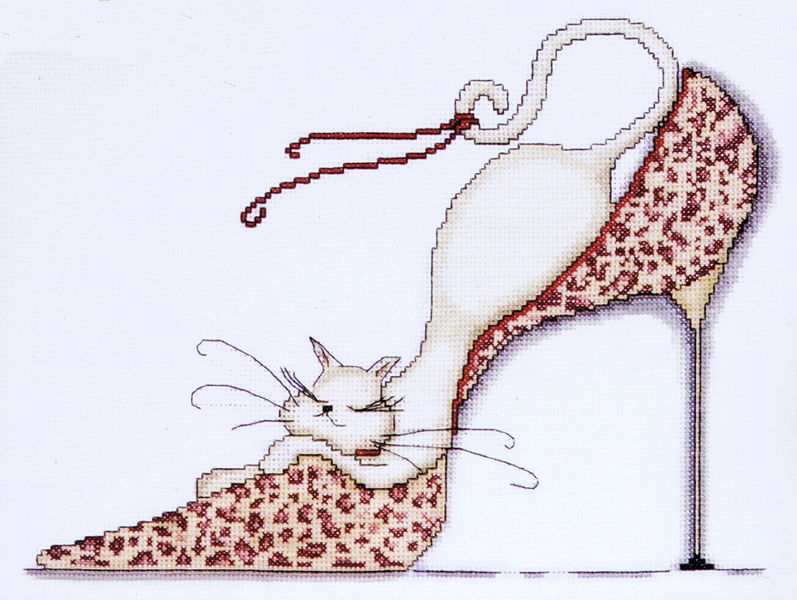 Leopard Shoe Kitty