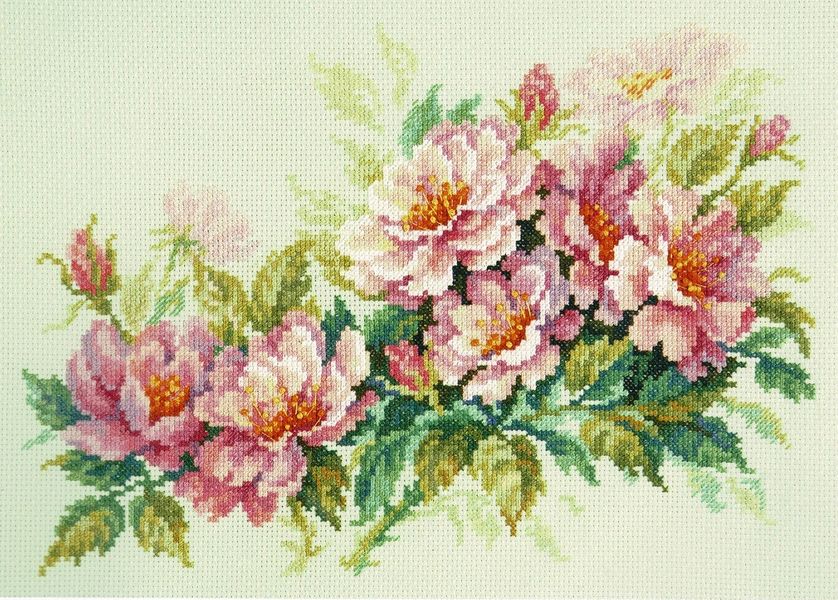 Dog Rose Flowers
