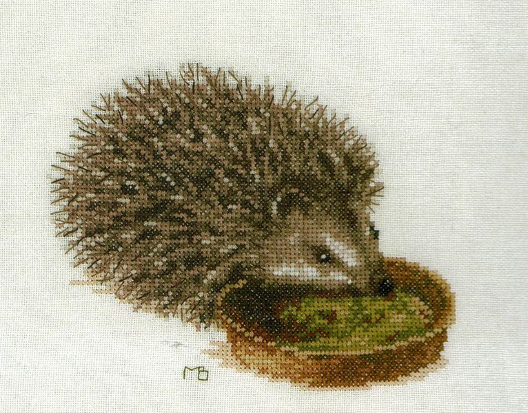 Hedgehog