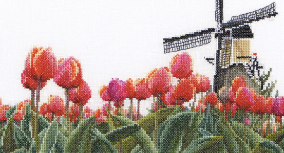 Tulips Fields