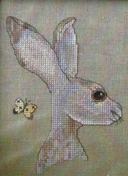 The Hare & the Butterfly
