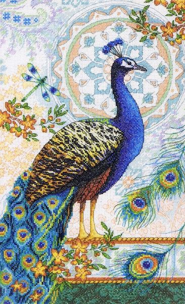 Royal Peacock