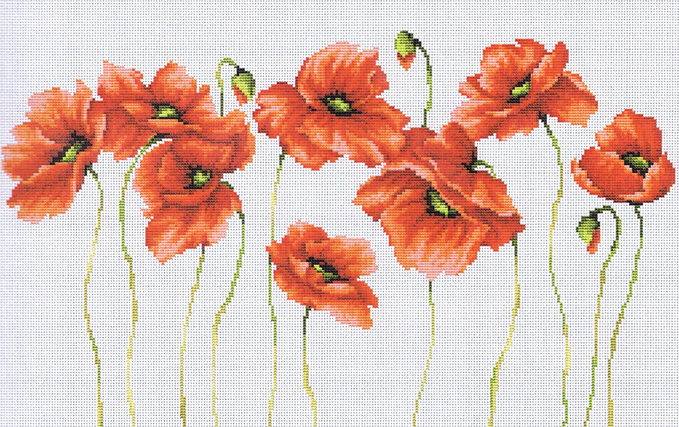 Poppies