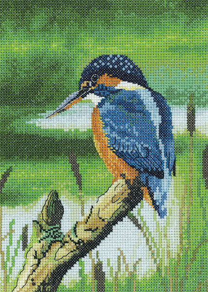 Kingfisher