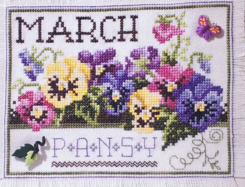 Flowers of the Month March - Pansy