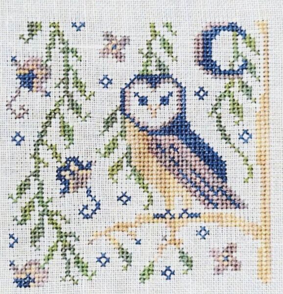 Night Owl