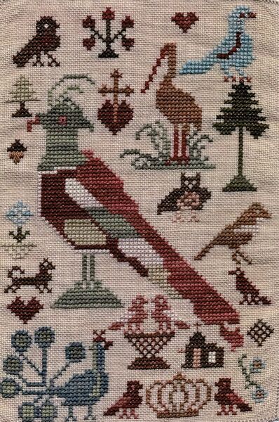 Barb's Birds