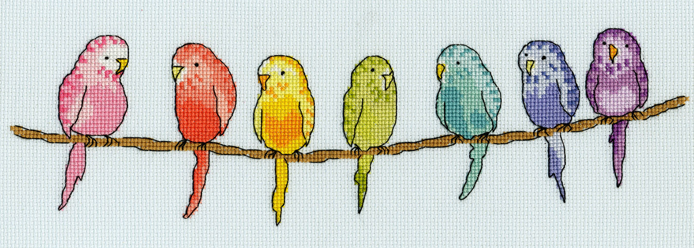 Row of Budgies