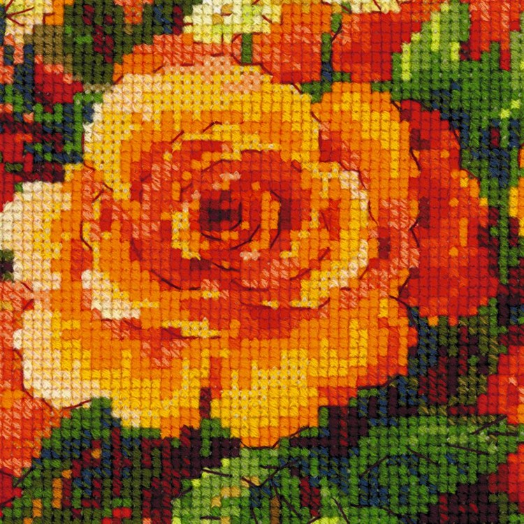 Tea Roses (view 2)