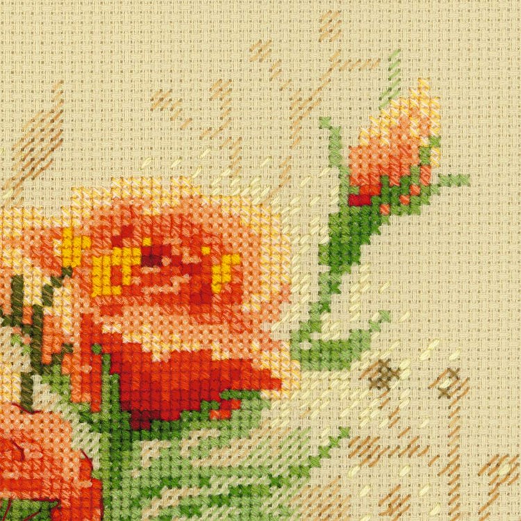 Tea Roses (view 5)